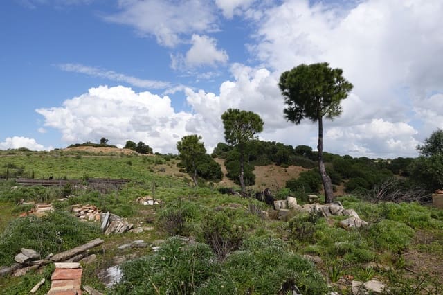 1 chambre Finca/Maison de Campagne à vendre à Medina-Sidonia avec garage - 170 000 € (Ref: 8973342)
