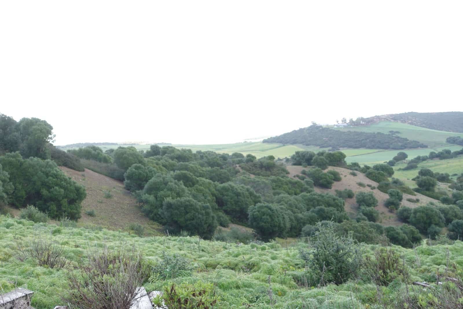 Finca/Casa Rural de 1 habitación en Medina-Sidonia en venta con garaje - 170.000 € (Ref: 8973342)