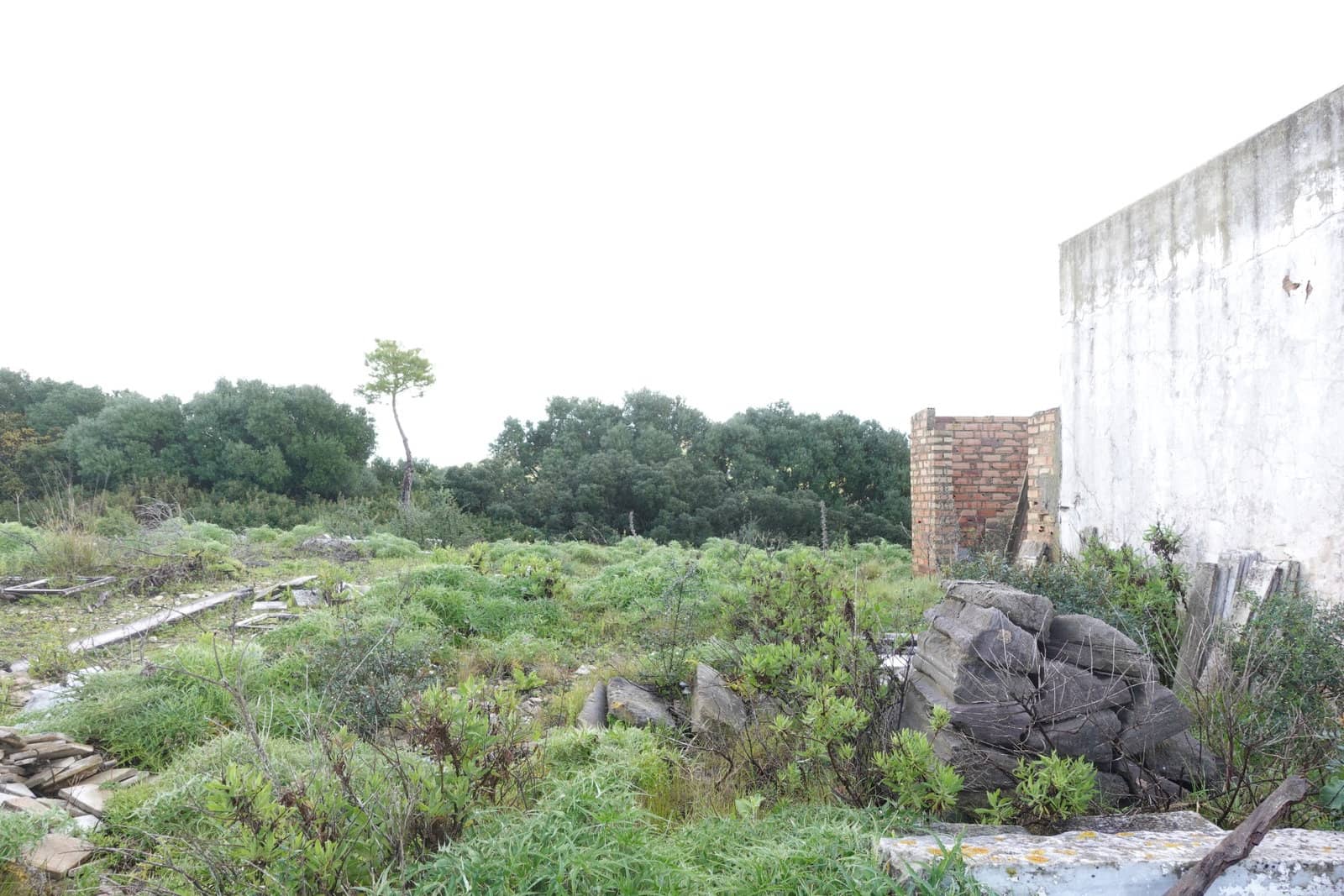 Finca/Casa Rural de 1 habitación en Medina-Sidonia en venta con garaje - 170.000 € (Ref: 8973342)