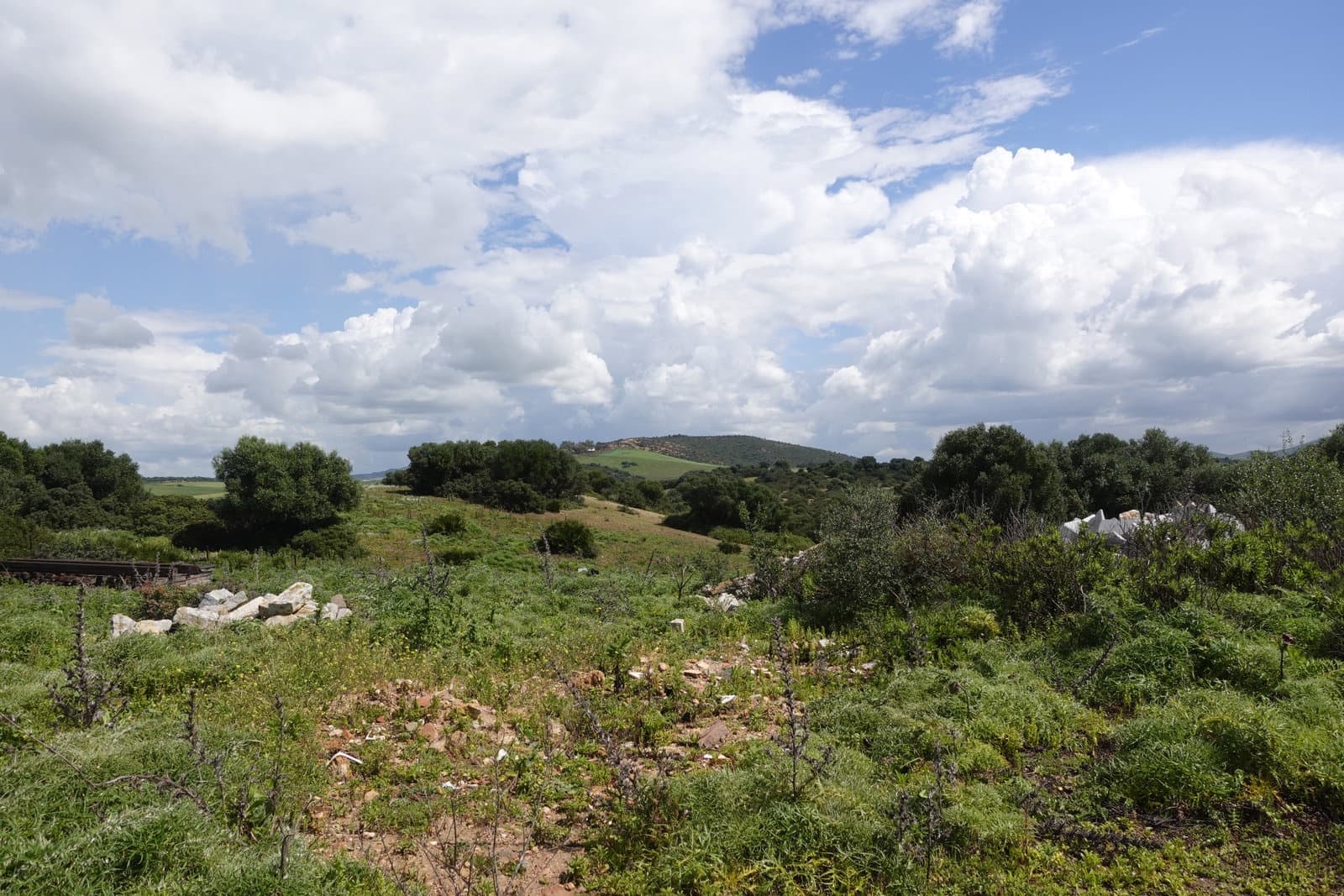 Finca/Casa Rural de 1 habitación en Medina-Sidonia en venta con garaje - 170.000 € (Ref: 8973342)