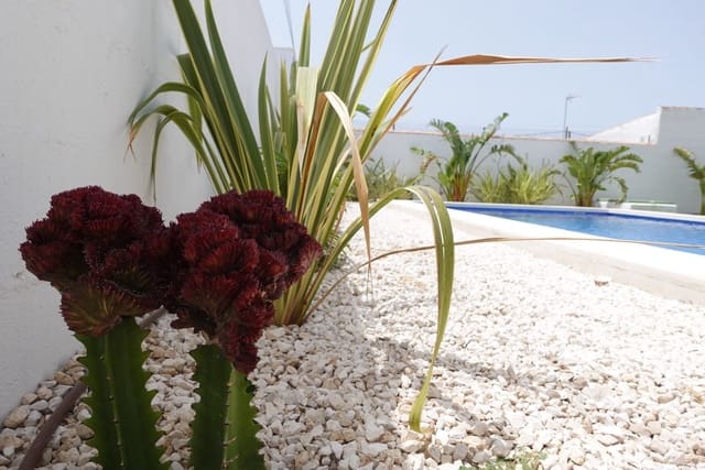 6 bedroom Villa for sale in Chiclana de la Frontera with pool garage - € 379,000 (Ref: 9164468)