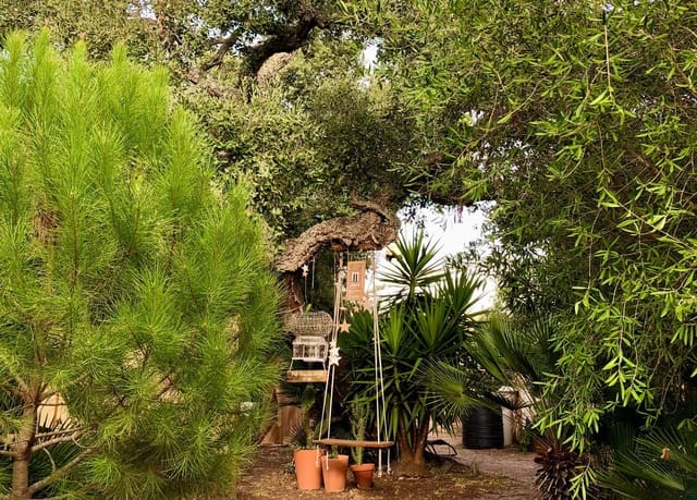 4 soveværelse Finca/Landehus til salg i Chiclana de la Frontera med garage - € 345.000 (Ref: 9211408)