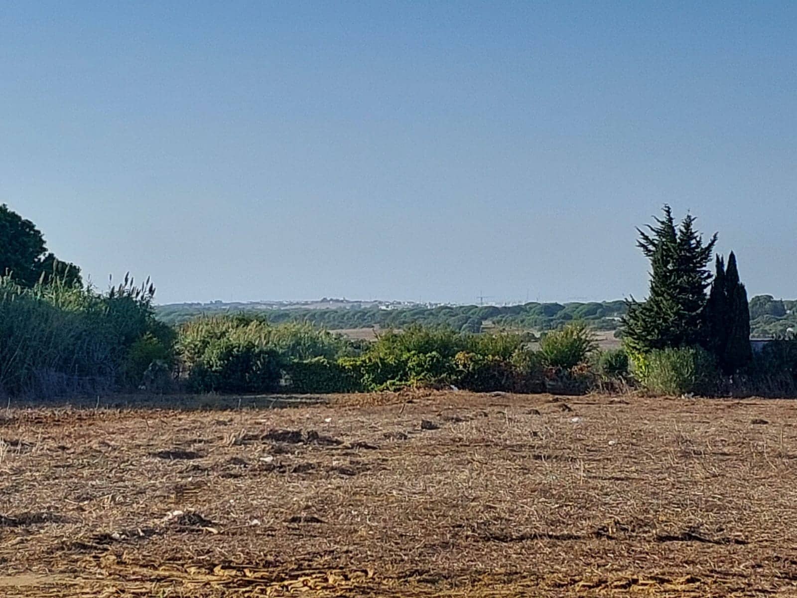 1 bedroom Finca/Country House for sale in Chiclana de la Frontera with garage - € 125,000 (Ref: 9314467)