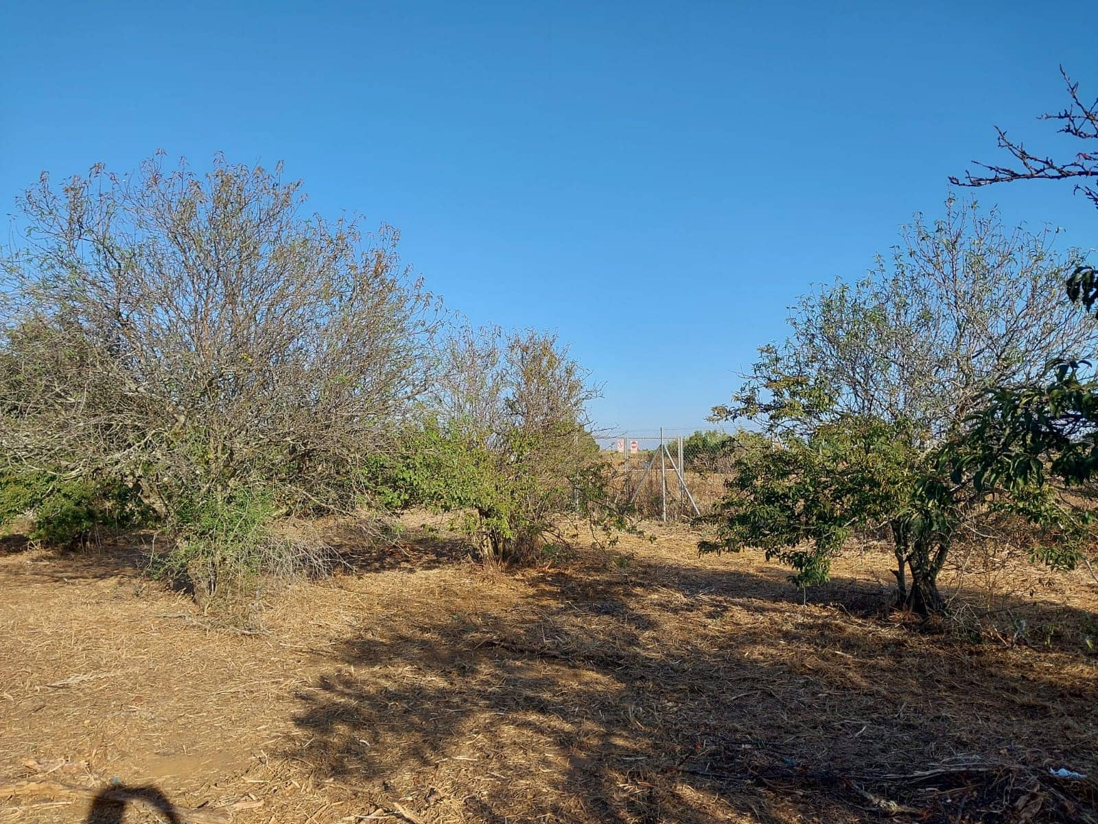 1 bedroom Finca/Country House for sale in Chiclana de la Frontera with garage - € 125,000 (Ref: 9314467)