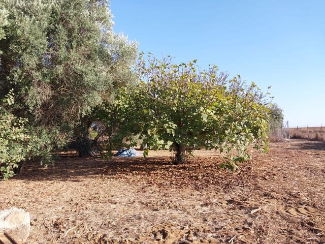 1 slaapkamer Finca/Landhuis te koop in Chiclana de la Frontera met garage - € 125.000 (Ref: 9314467)
