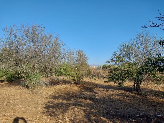 1 slaapkamer Finca/Landhuis te koop in Chiclana de la Frontera met garage - € 125.000 (Ref: 9314467)