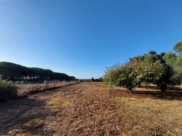 1 slaapkamer Finca/Landhuis te koop in Chiclana de la Frontera met garage - € 125.000 (Ref: 9314467)