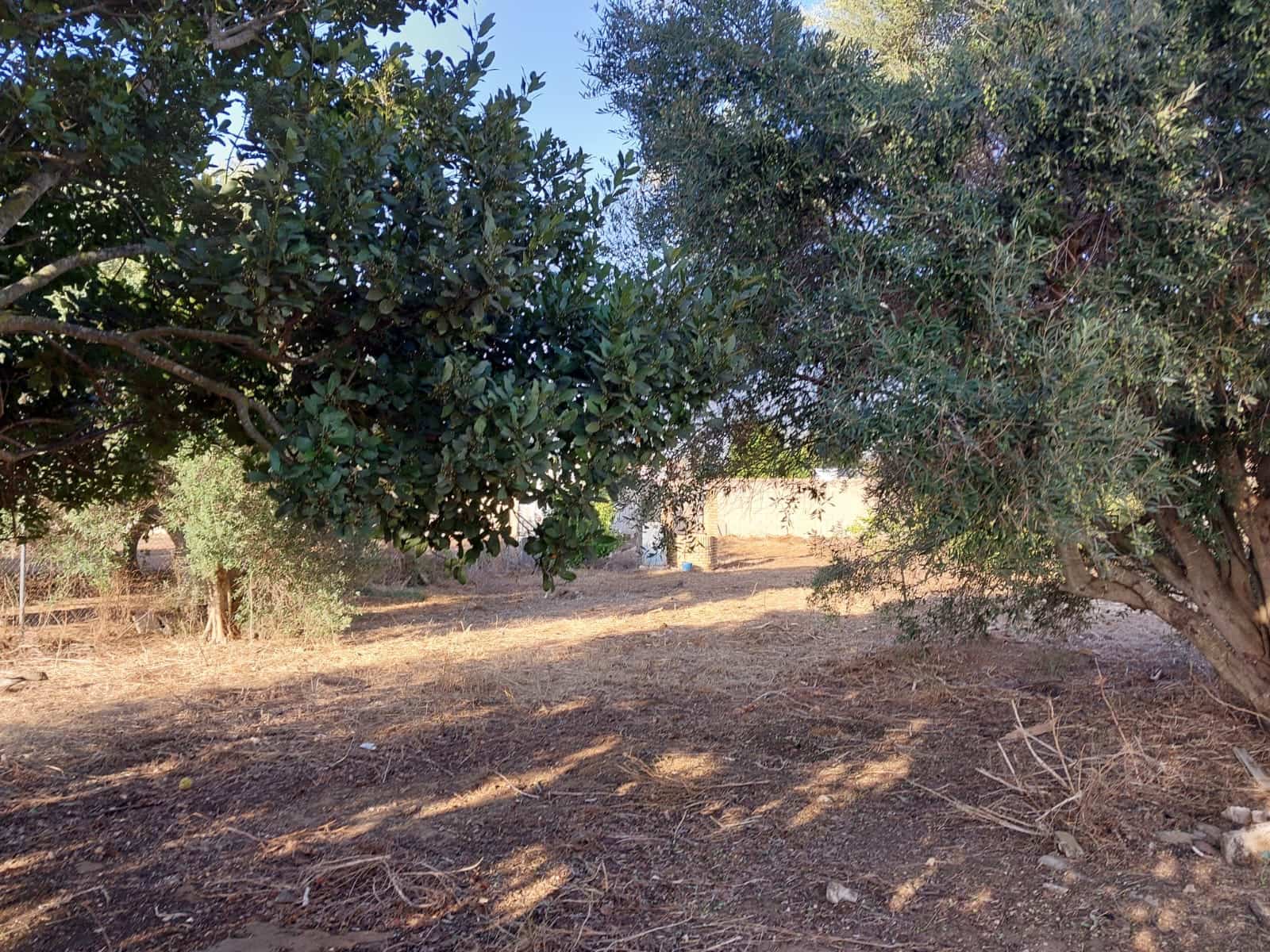 1 bedroom Finca/Country House for sale in Chiclana de la Frontera with garage - € 125,000 (Ref: 9314467)