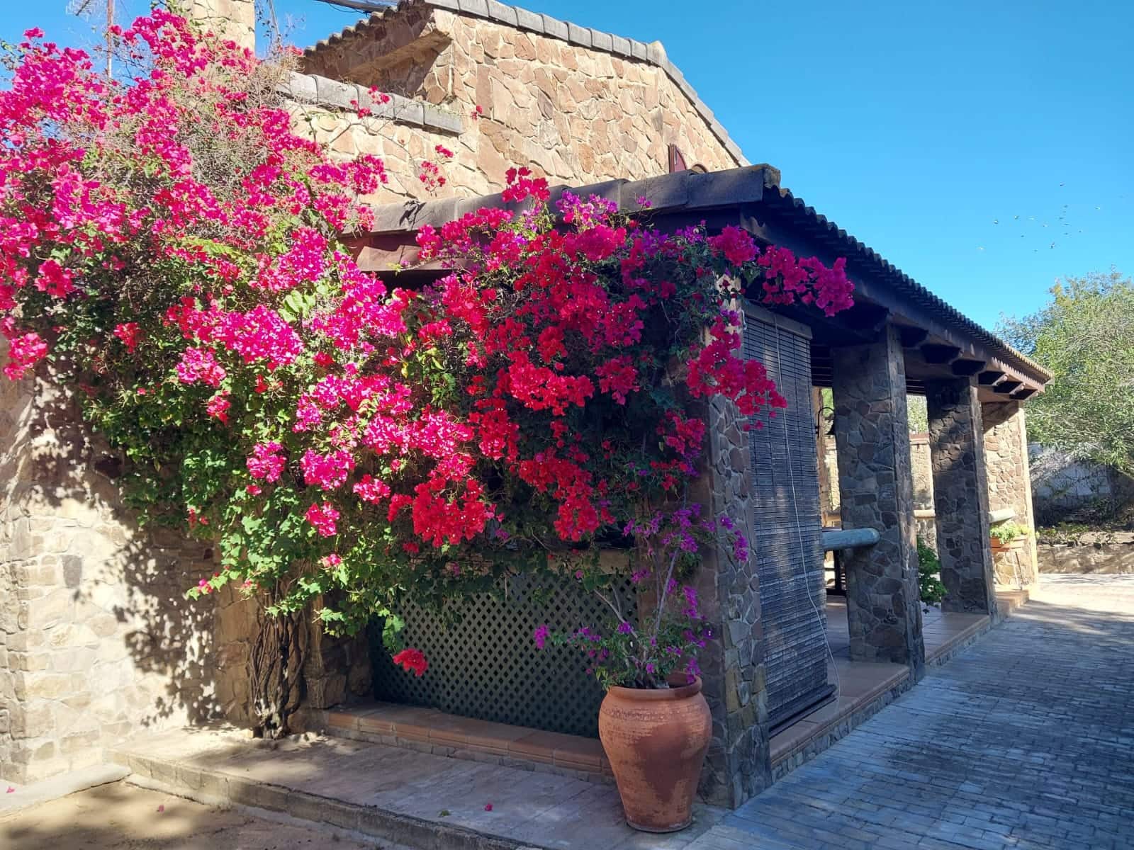 2 bedroom Finca/Country House for sale in Chiclana de la Frontera with pool garage - € 225,000 (Ref: 9378370)