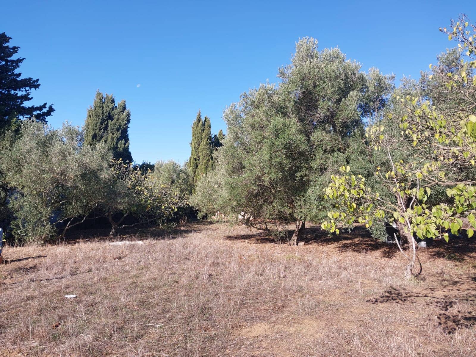 2 bedroom Finca/Country House for sale in Chiclana de la Frontera with pool garage - € 225,000 (Ref: 9378370)