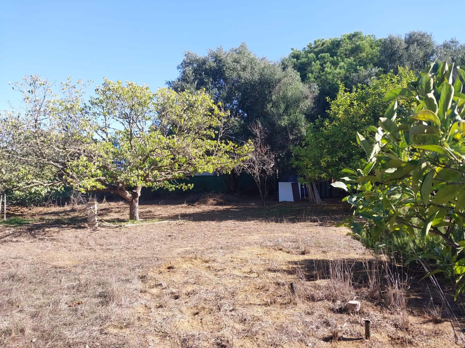 2 bedroom Finca/Country House for sale in Chiclana de la Frontera with pool garage - € 225,000 (Ref: 9378370)