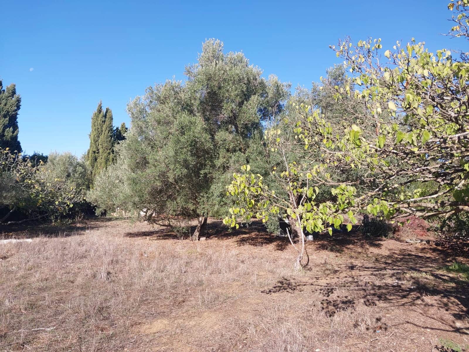 2 bedroom Finca/Country House for sale in Chiclana de la Frontera with pool garage - € 225,000 (Ref: 9378370)