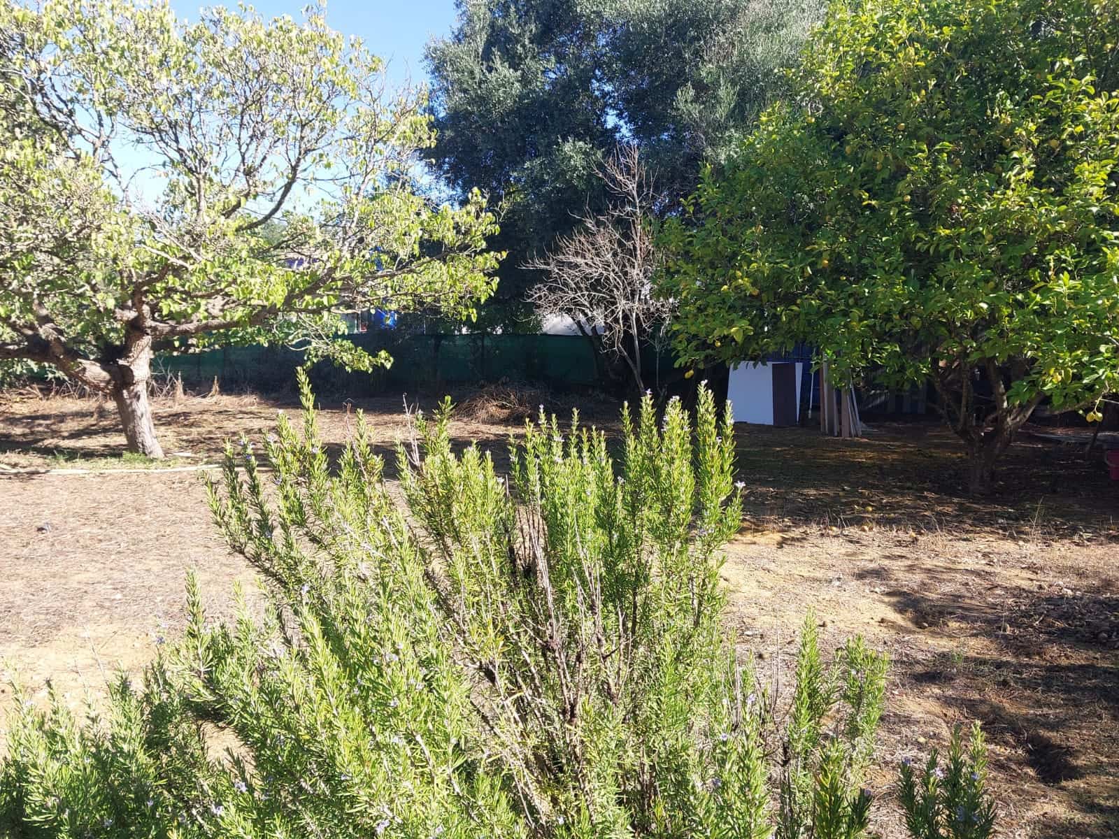 2 bedroom Finca/Country House for sale in Chiclana de la Frontera with pool garage - € 225,000 (Ref: 9378370)