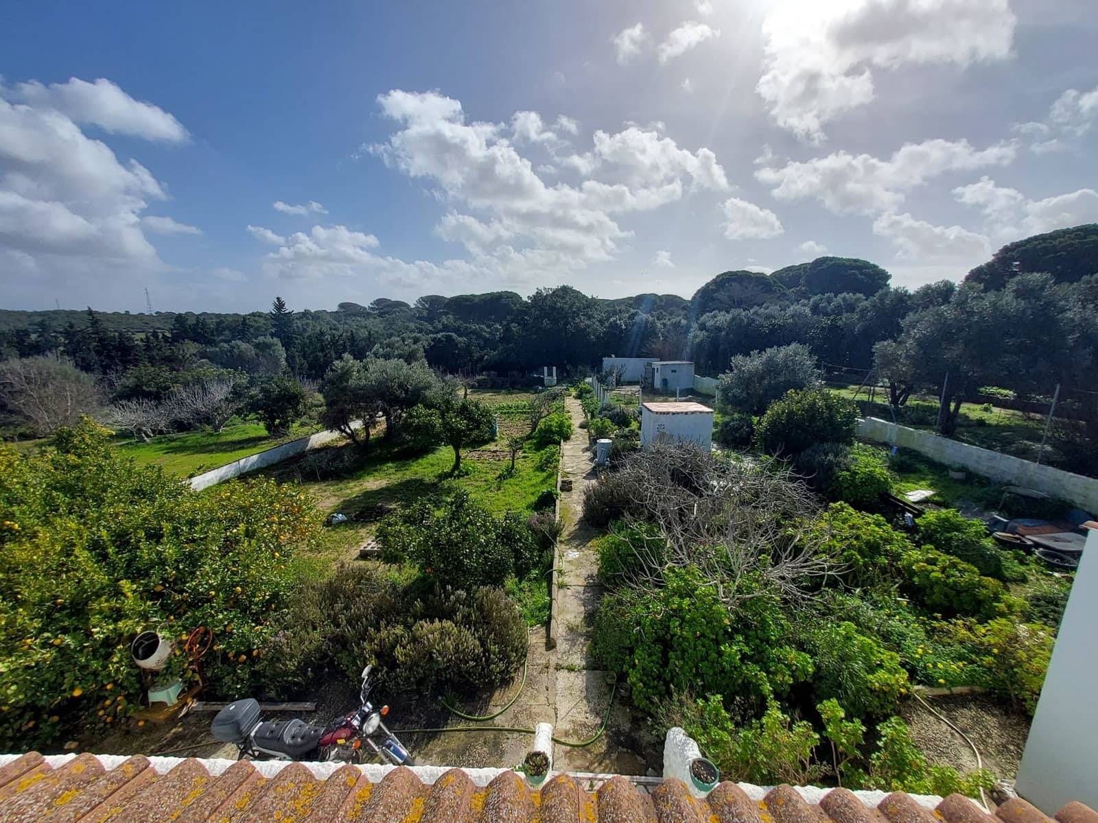 3 makuuhuone Maalaistalo myytävänä paikassa Chiclana de la Frontera mukana uima-altaan 
autotalli - 199 000 € (Ref: 9588439)