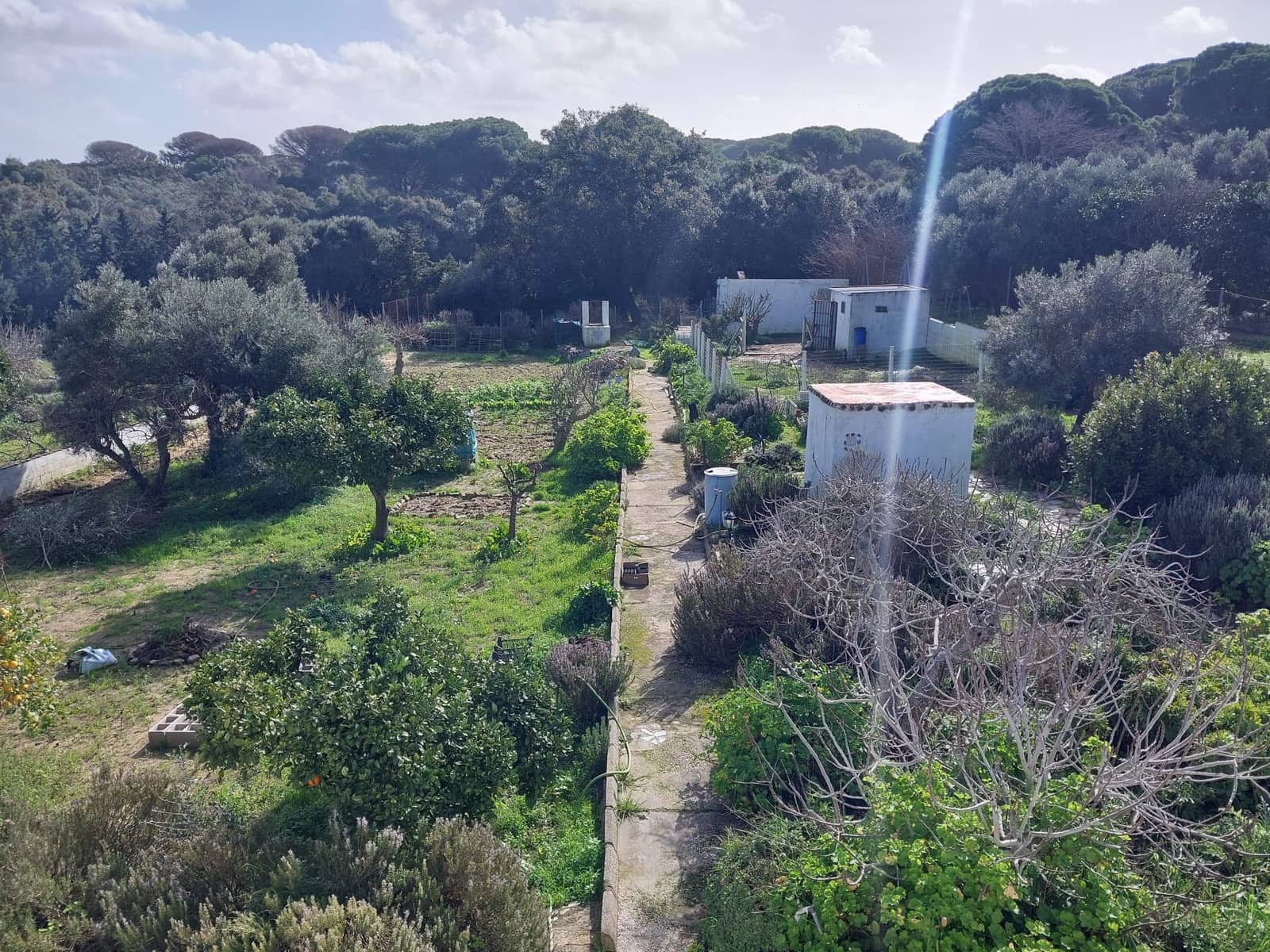 3 makuuhuone Maalaistalo myytävänä paikassa Chiclana de la Frontera mukana uima-altaan 
autotalli - 199 000 € (Ref: 9588439)