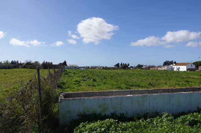 3 sovrum Finca/Hus på landet till salu i Chiclana de la Frontera med garage - 525 000 € (Ref: 9672113)