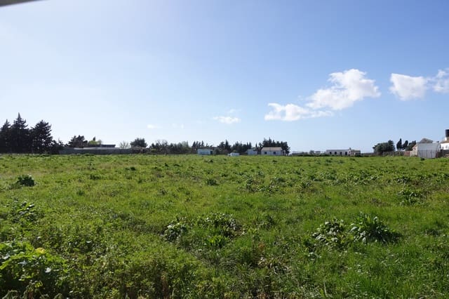 3 sovrum Finca/Hus på landet till salu i Chiclana de la Frontera med garage - 525 000 € (Ref: 9672113)