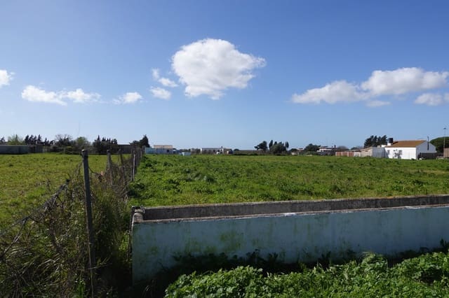 3 sovrum Finca/Hus på landet till salu i Chiclana de la Frontera med garage - 525 000 € (Ref: 9672113)
