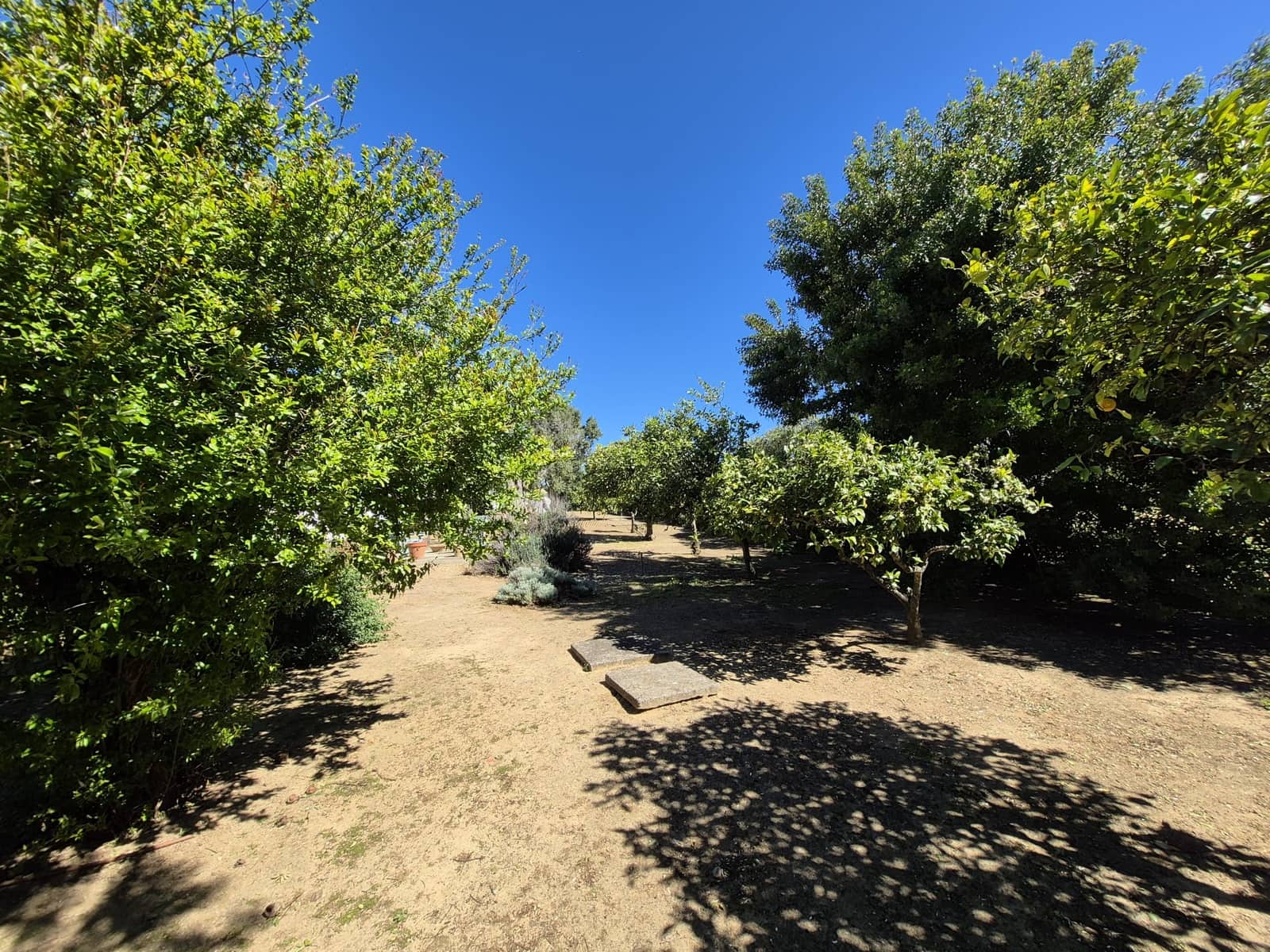 4 soverom Finca/Herregård til salgs i Chiclana de la Frontera med svømmebasseng garasje - € 525 000 (Ref: 9752351)