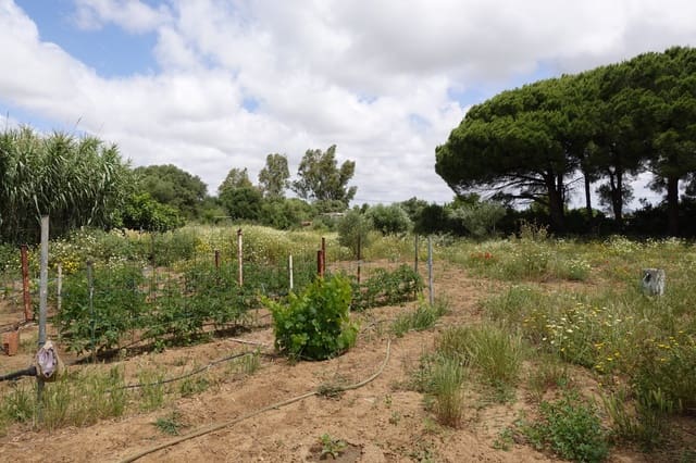 2 sypialnia Finka/Dom wiejski na sprzedaż w Chiclana de la Frontera z garażem - 208 000 € (Ref: 9848069)