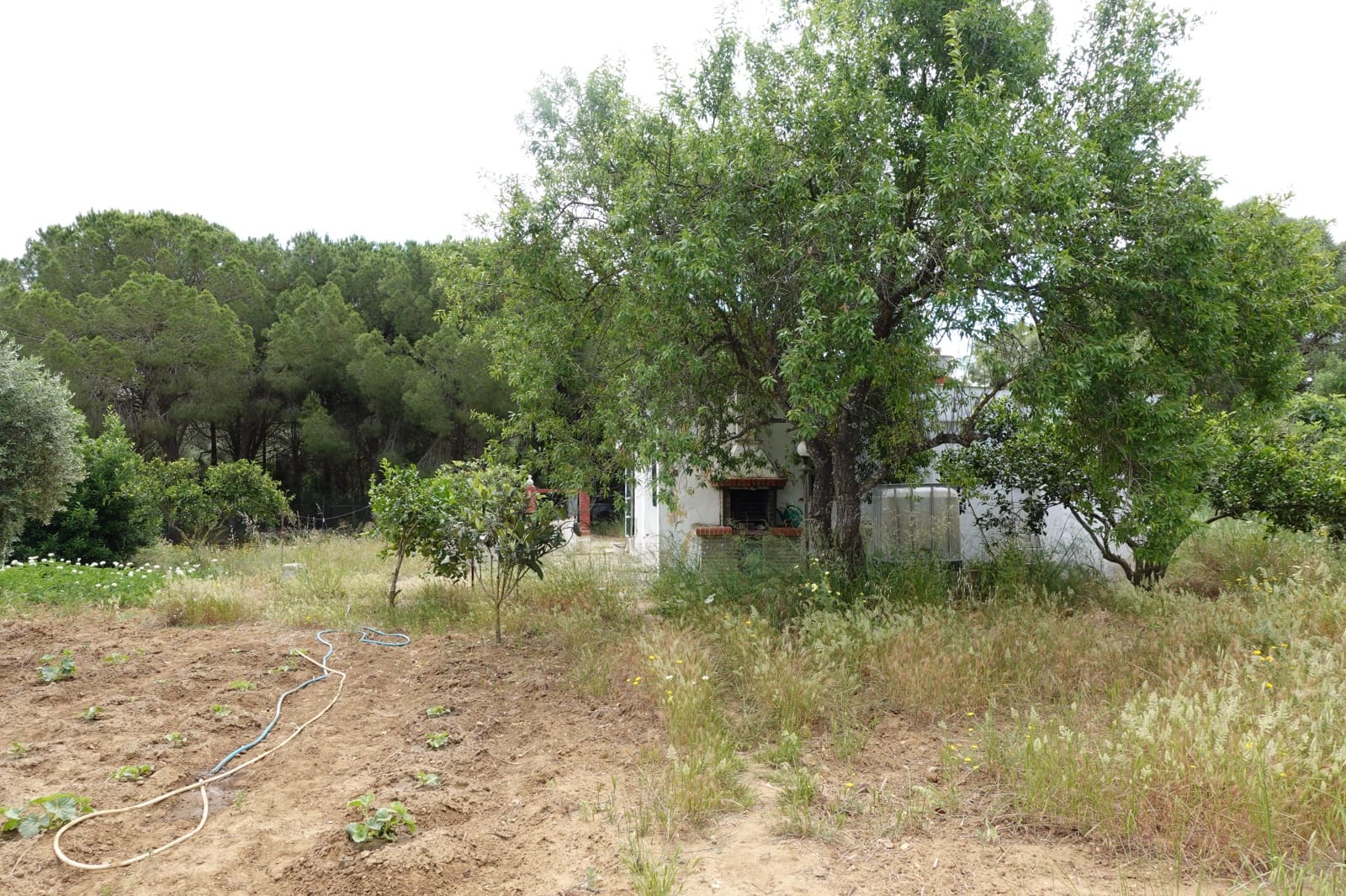 2 sypialnia Finka/Dom wiejski na sprzedaż w Chiclana de la Frontera z garażem - 208 000 € (Ref: 9848069)