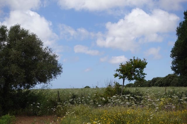 2 soverom Finca/Herregård til salgs i Chiclana de la Frontera med garasje - € 208 000 (Ref: 9848069)