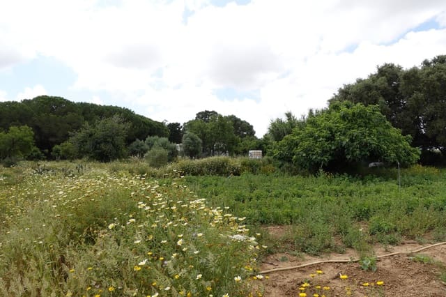 2 soverom Finca/Herregård til salgs i Chiclana de la Frontera med garasje - € 208 000 (Ref: 9848069)