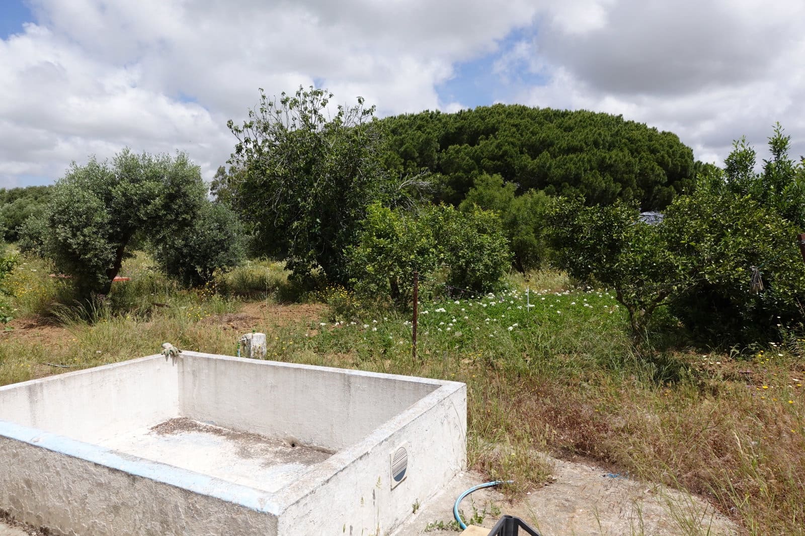 2 bedroom Finca/Country House for sale in Chiclana de la Frontera with garage - € 208,000 (Ref: 9848069)