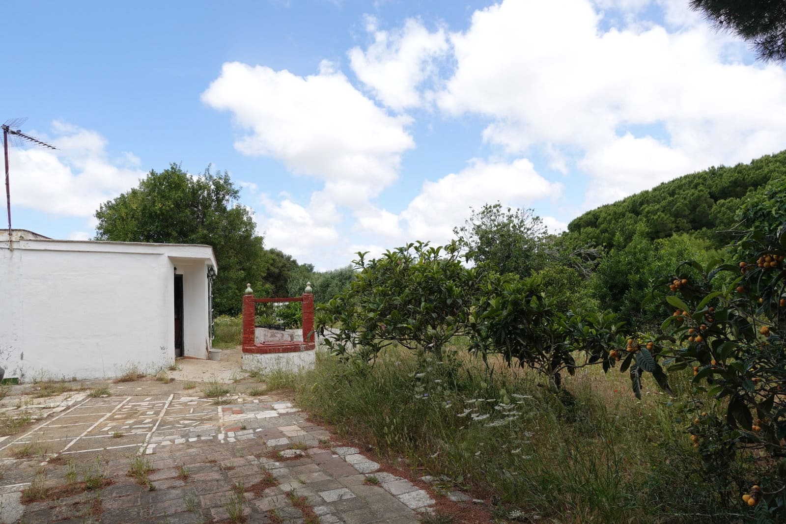 2 bedroom Finca/Country House for sale in Chiclana de la Frontera with garage - € 208,000 (Ref: 9848069)