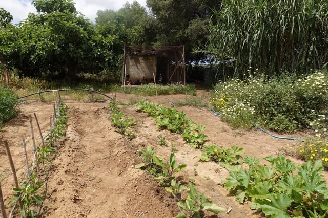 2 soverom Finca/Herregård til salgs i Chiclana de la Frontera med garasje - € 208 000 (Ref: 9848069)