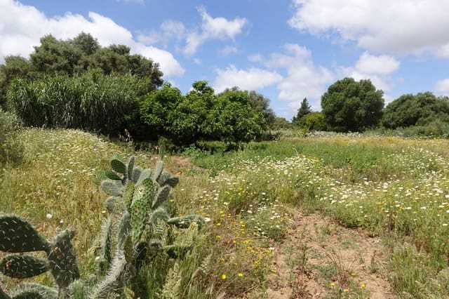 2 soverom Finca/Herregård til salgs i Chiclana de la Frontera med garasje - € 208 000 (Ref: 9848069)