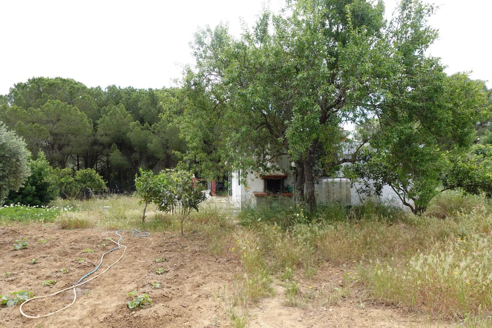 2 bedroom Finca/Country House for sale in Chiclana de la Frontera with garage - € 208,000 (Ref: 9848069)