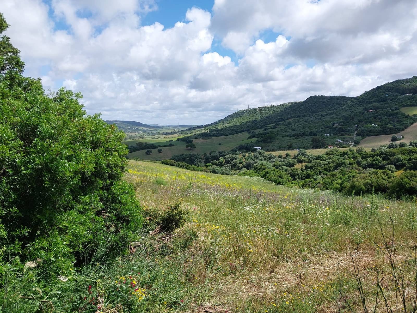 Finca/Country House for sale in Vejer de la Frontera - € 290,000 (Ref: 9922863)