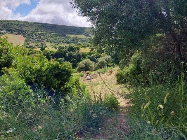 Finca/Casa di Campagna in vendita in Vejer de la Frontera - 290.000 € (Rif: 9922863)