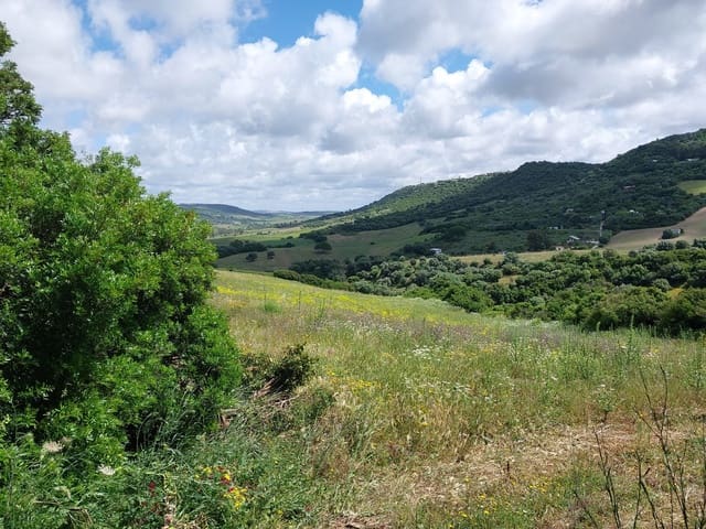 Finca/Casa di Campagna in vendita in Vejer de la Frontera - 290.000 € (Rif: 9922863)