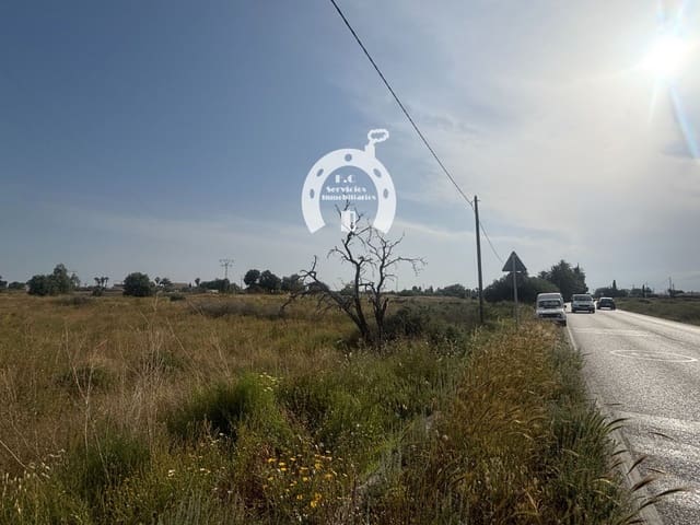 Building Plot for sale in Elche / Elx - € 65,000 (Ref: 10007844)