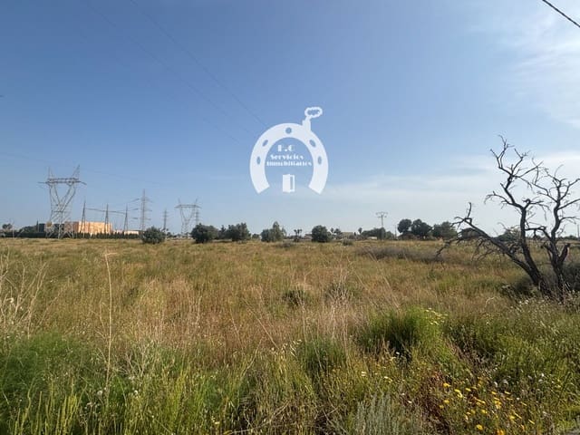 Building Plot for sale in Elche / Elx - € 65,000 (Ref: 10007844)