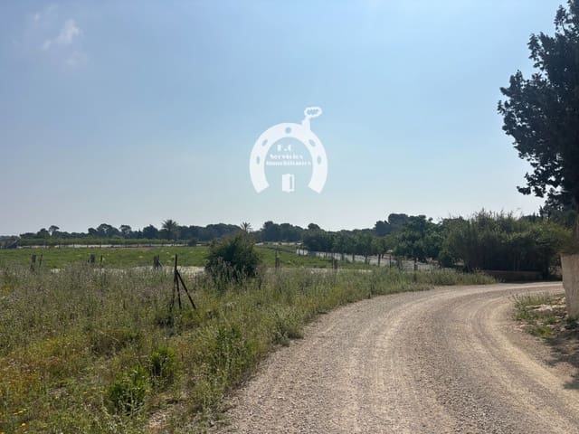 Building Plot for sale in La Marina del Pinet, Elche / Elx - € 37,000 (Ref: 10007845)