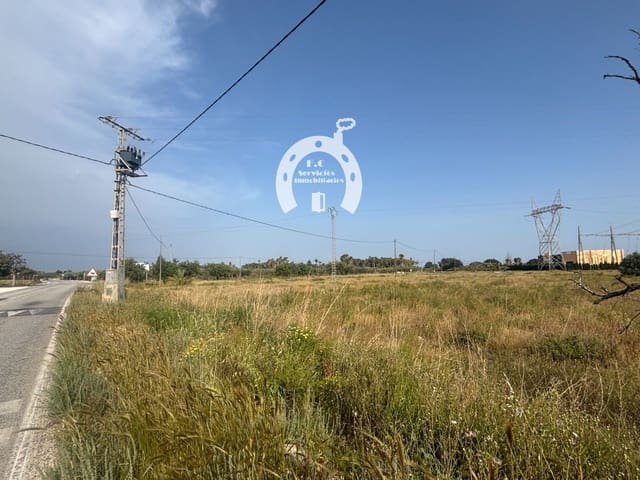 Building Plot for sale in La Marina del Pinet, Elche / Elx - € 37,000 (Ref: 10007845)