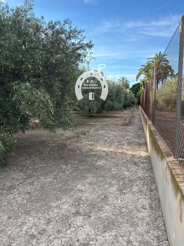 Kommersiell til salgs i Elche / Elx - € 130 000 (Ref: 10007852)