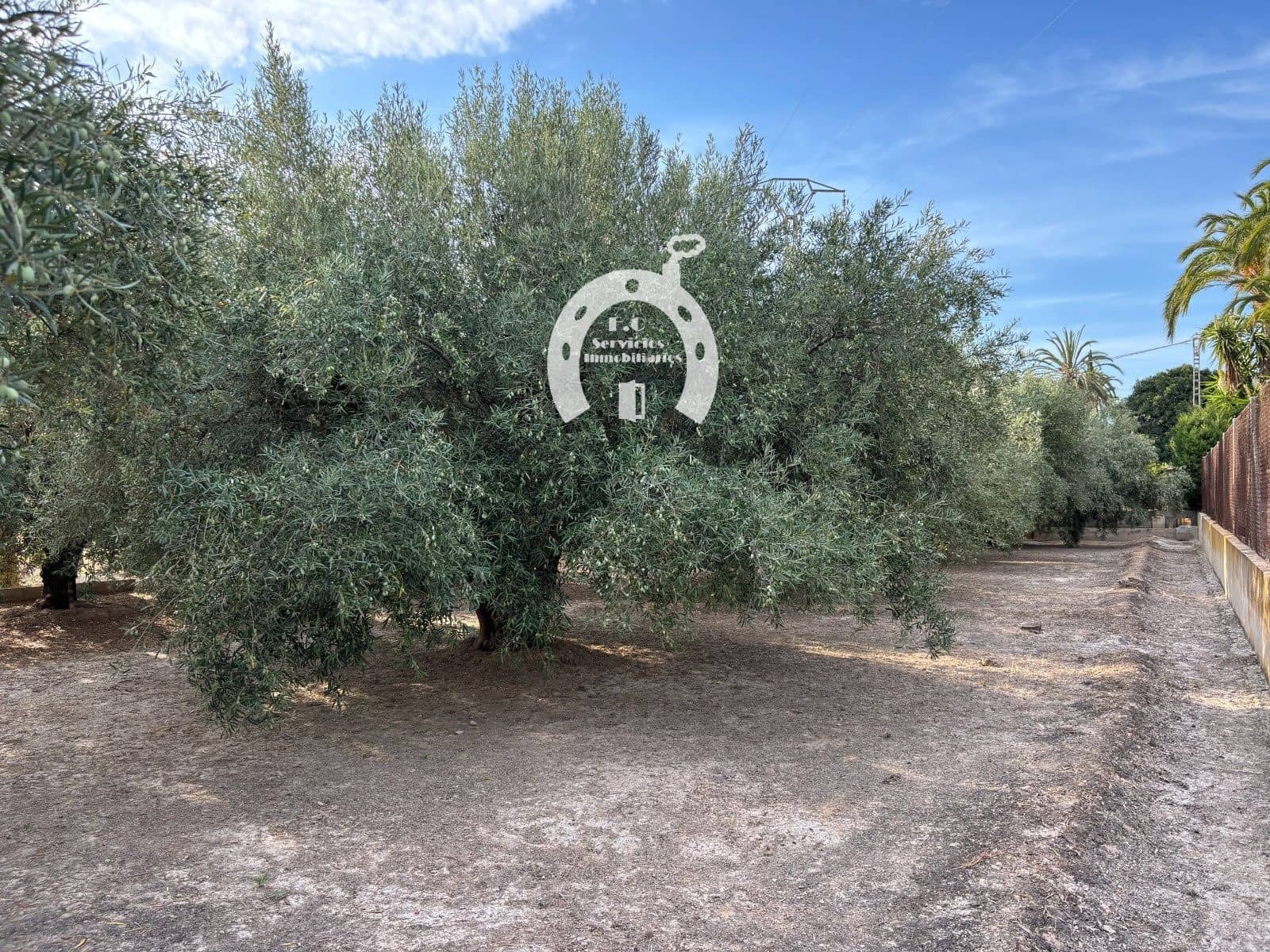 Commercial for sale in Elche / Elx - € 130,000 (Ref: 10007852)