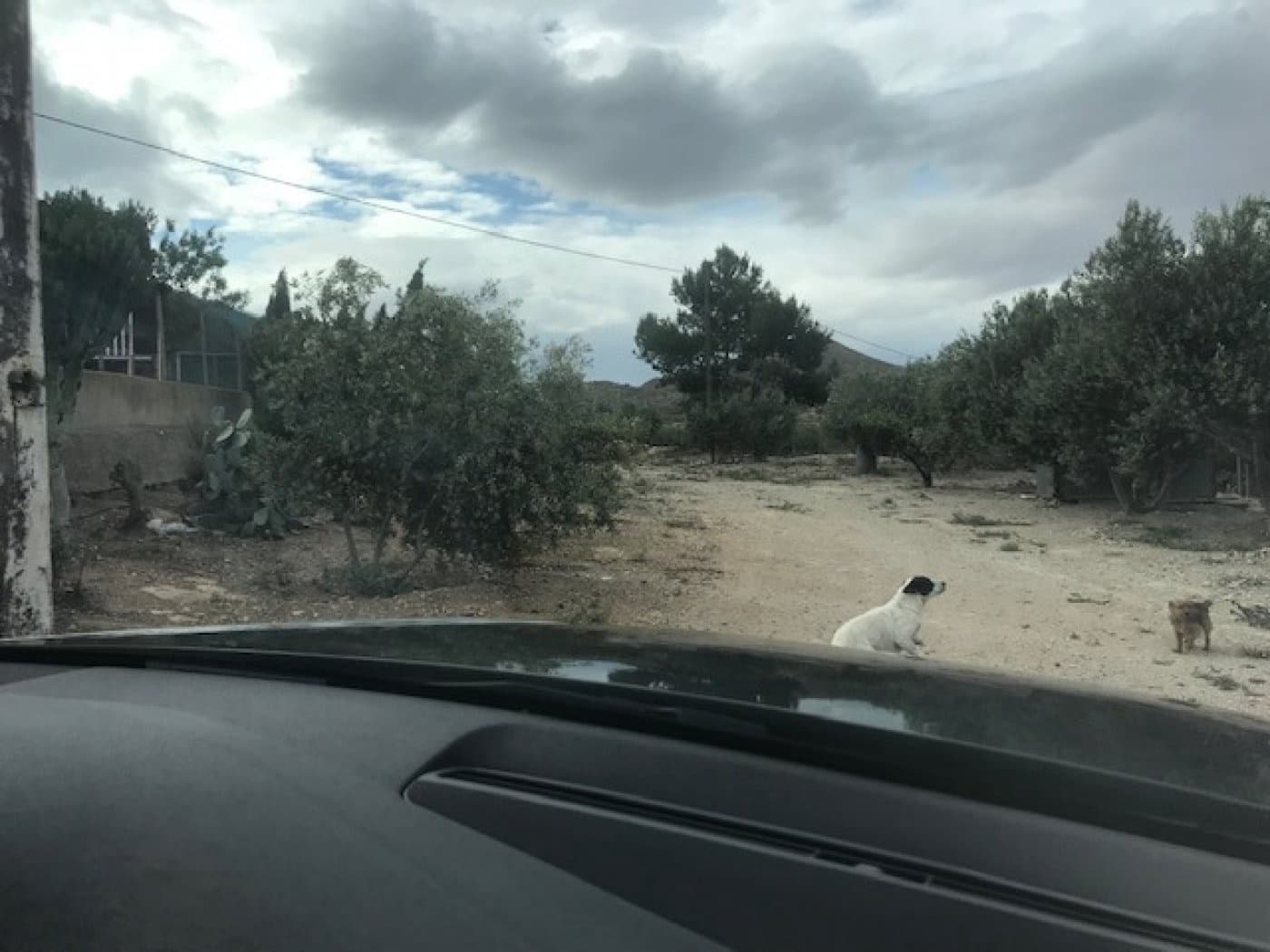 1 soveværelse Finca/Landehus til salg i Cartagena - € 99.000 (Ref: 8688144)