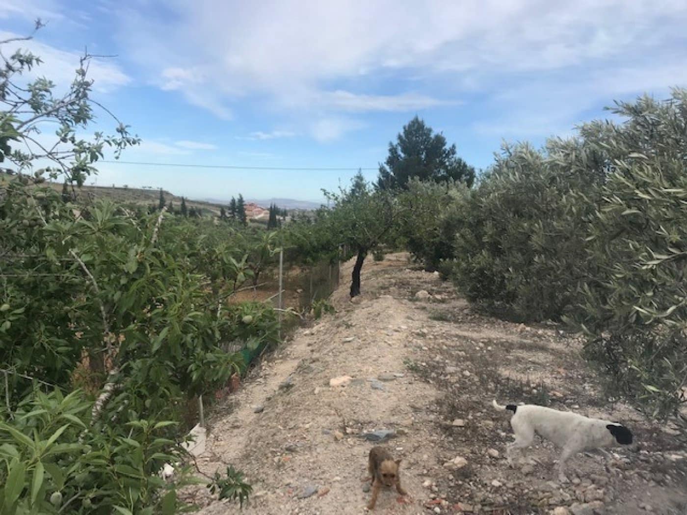 1 soveværelse Finca/Landehus til salg i Cartagena - € 99.000 (Ref: 8688144)