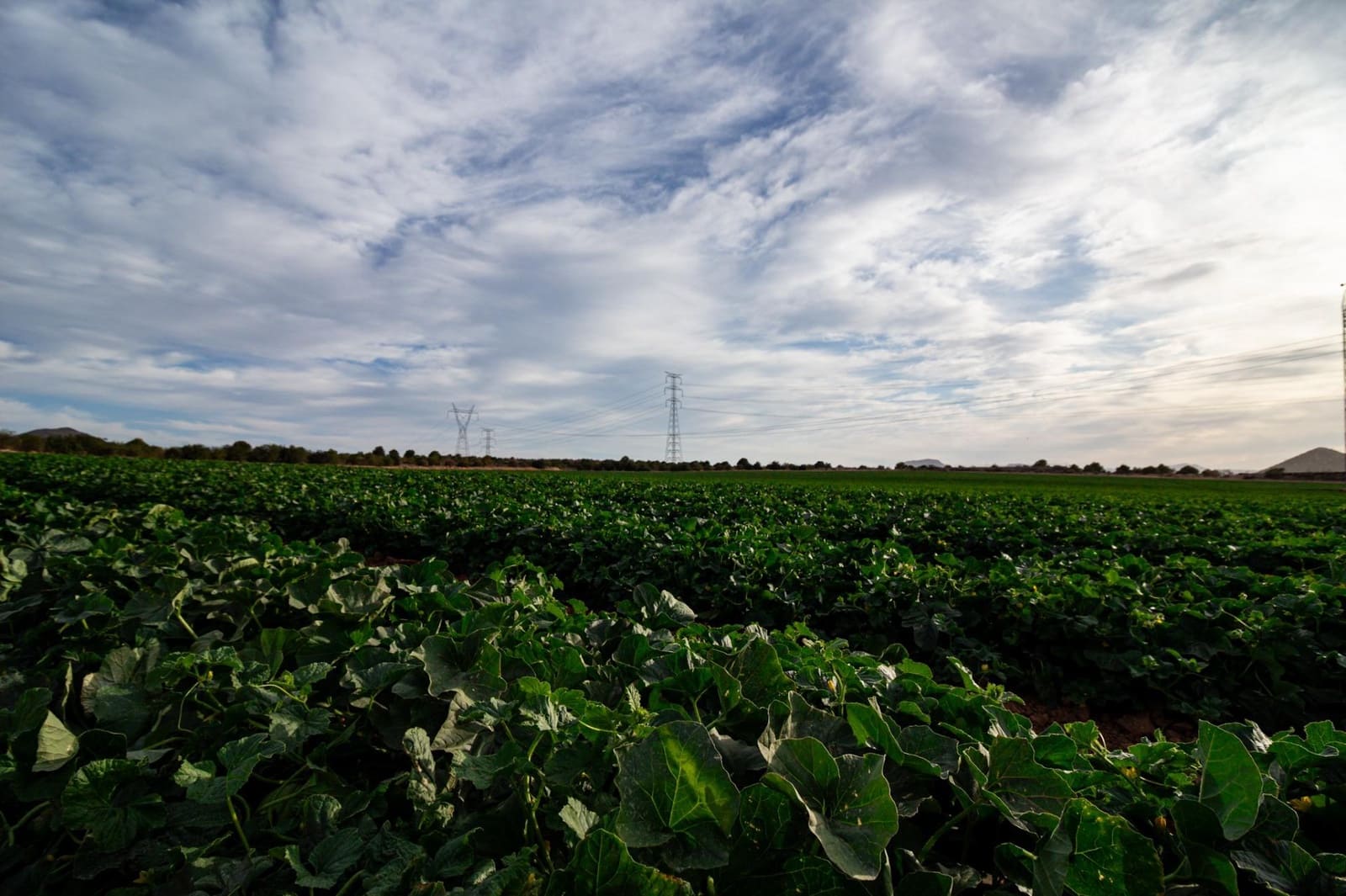 4 bedroom Villa for sale in Cartagena - € 365,000 (Ref: 8688153)