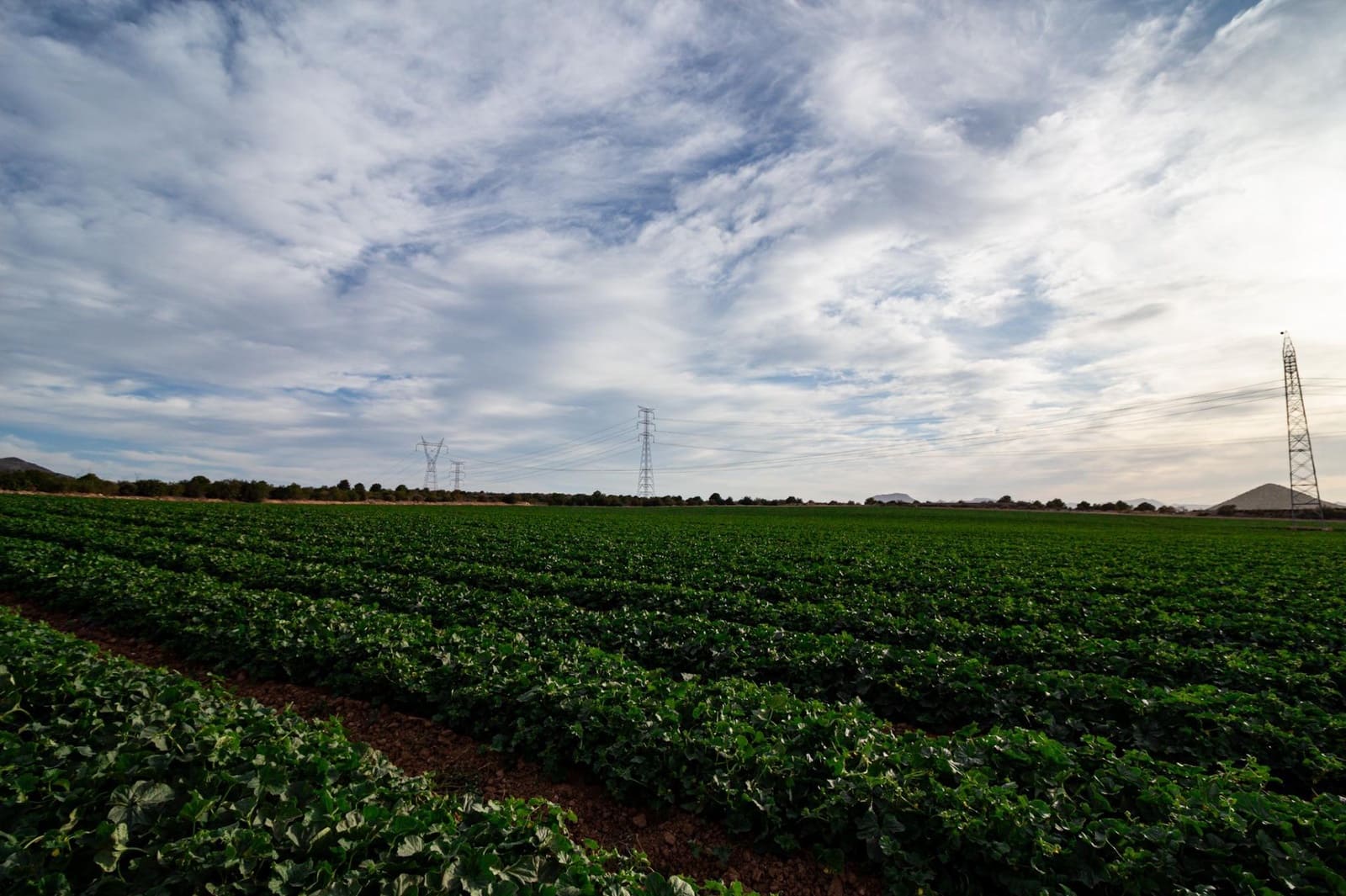 4 bedroom Villa for sale in Cartagena - € 365,000 (Ref: 8688153)