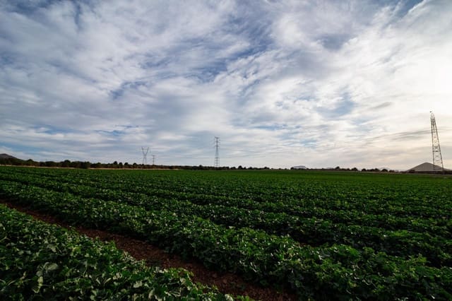 Chalet de 4 habitaciones en Cartagena en venta - 365.000 € (Ref: 8688153)