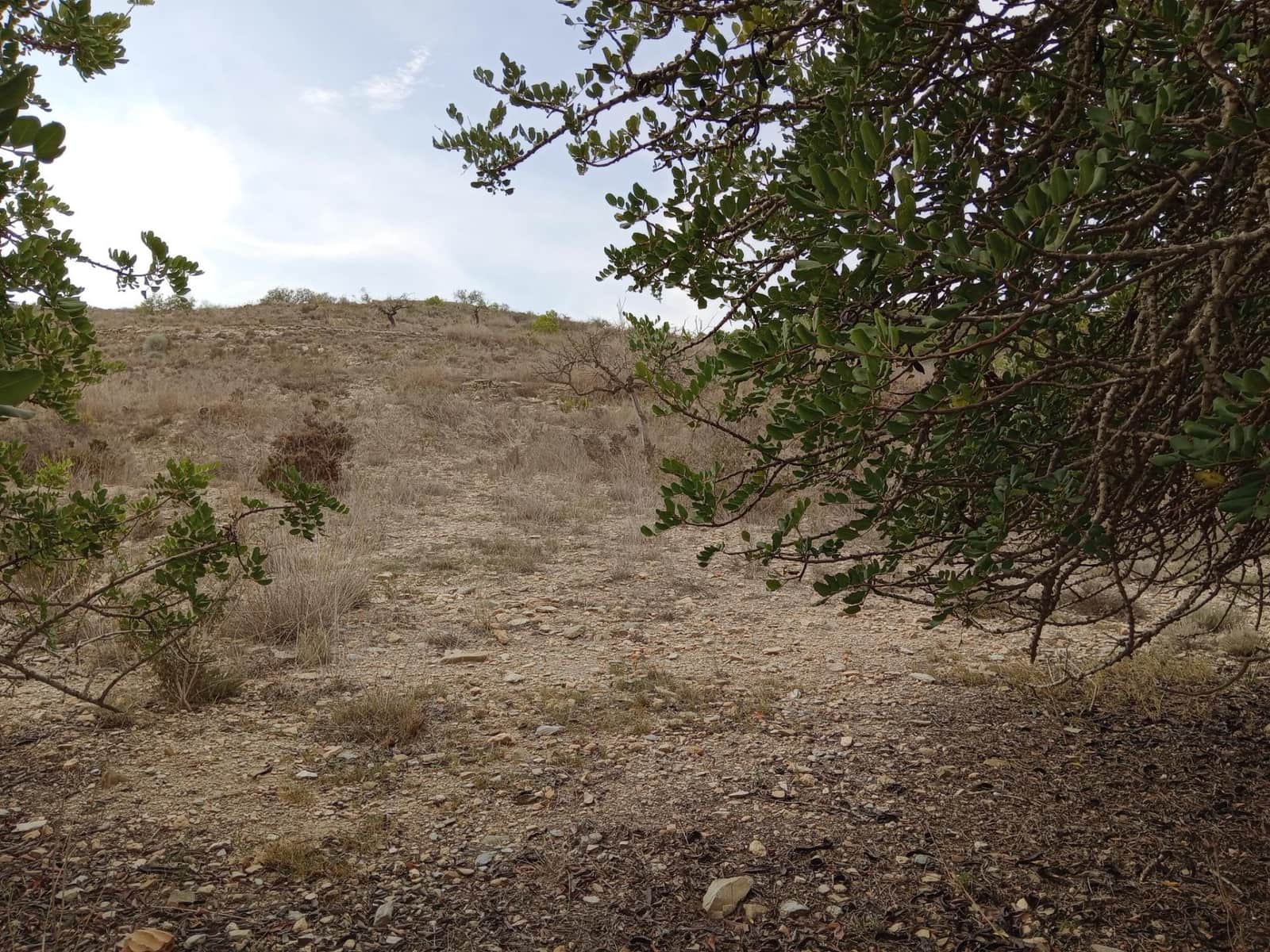 Terreno Não Urbanizado para venda em Perin - 43 000 € (Ref: 8688171)