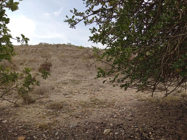 Terreno Non Edificato in vendita in Perin, Cartagena - 43.000 € (Rif: 8688171)