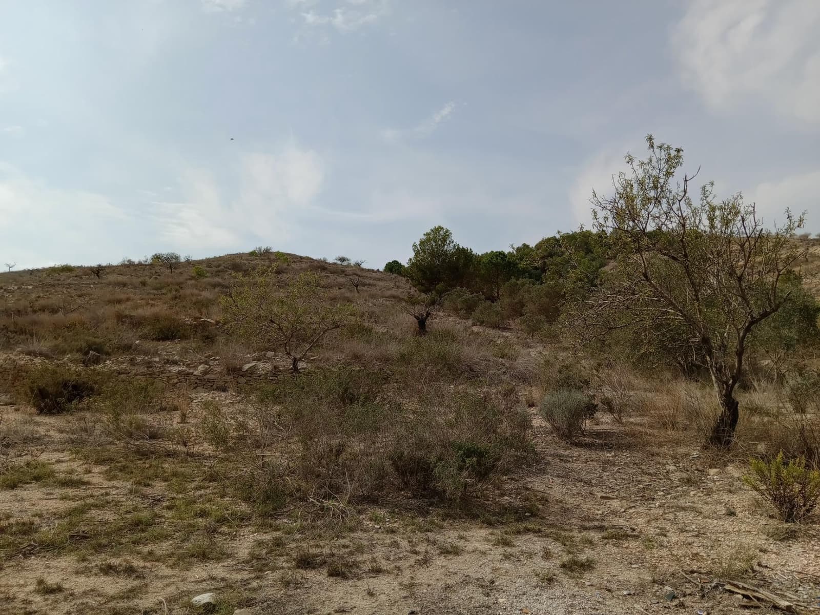 Terreno Não Urbanizado para venda em Perin - 43 000 € (Ref: 8688171)