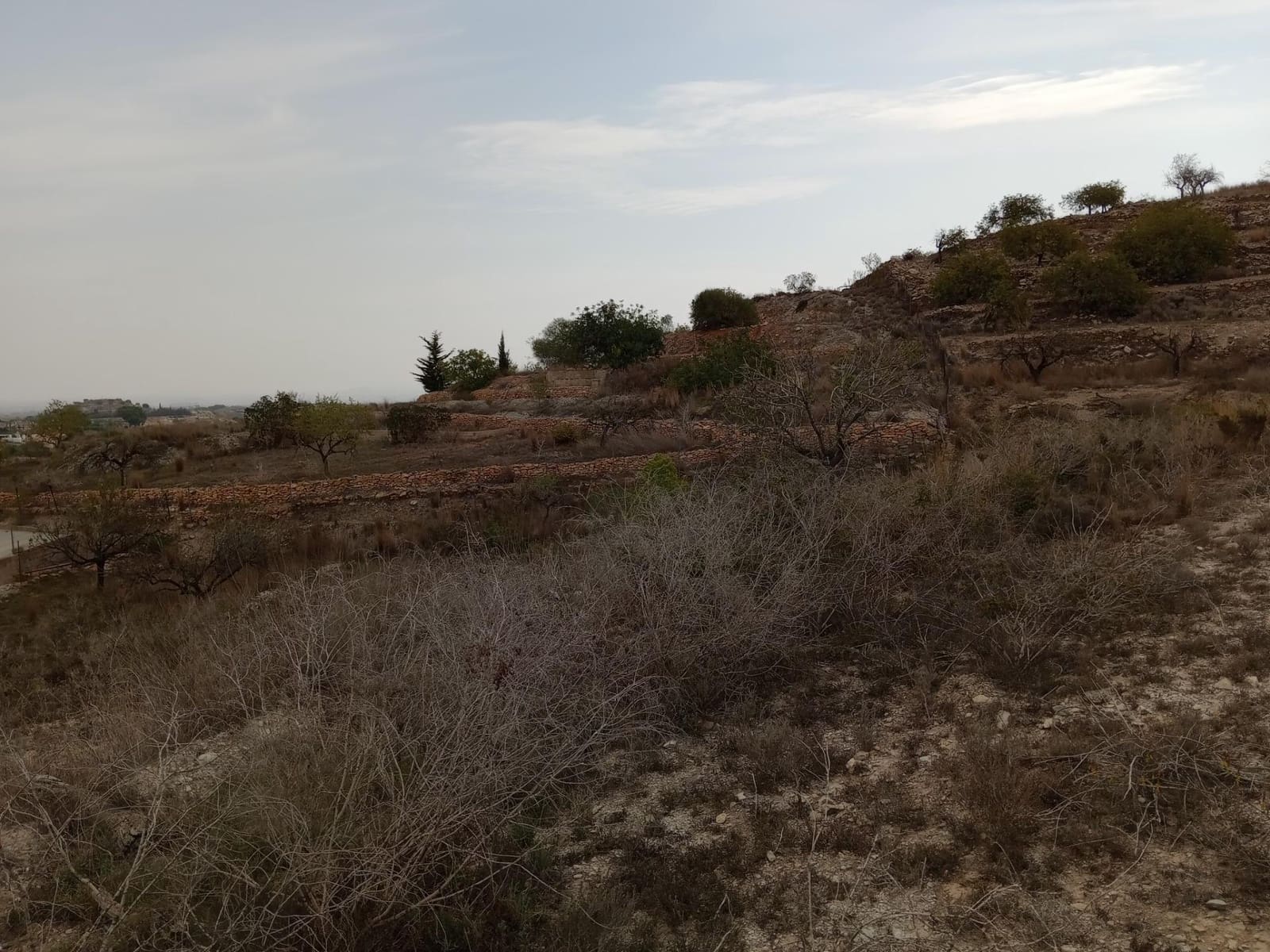 Terreno Não Urbanizado para venda em Perin - 43 000 € (Ref: 8688171)